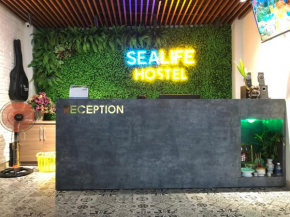 Sealife Hostel